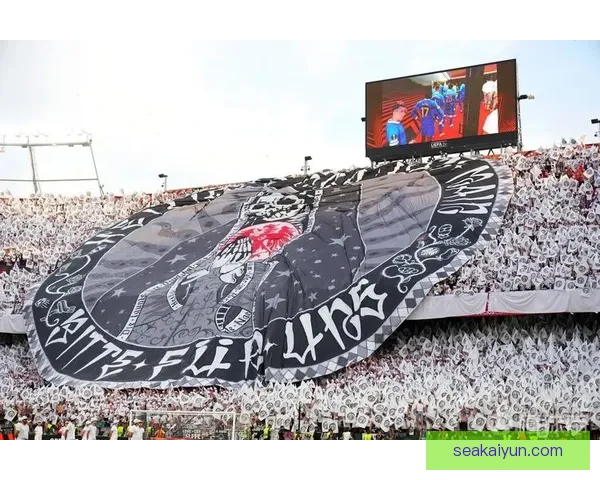 德甲大众竞技场全新改造计划启动，助力球队主场氛围提升明显