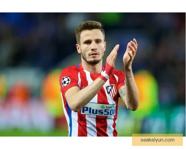 球员转会测评：市场动态与球队战略的持续观察