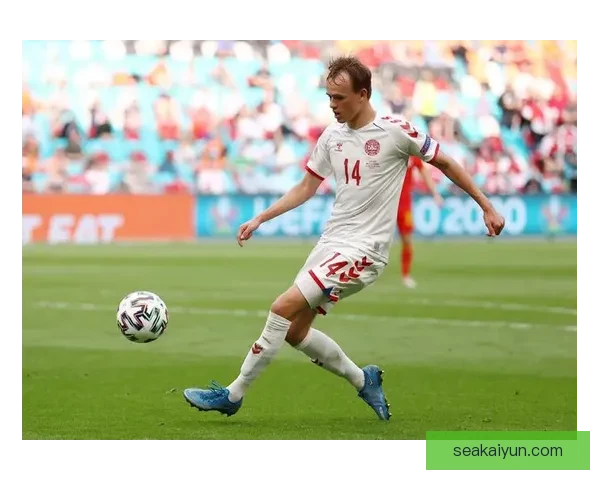 达姆斯高本赛季进球数据持续提升，表现稳健