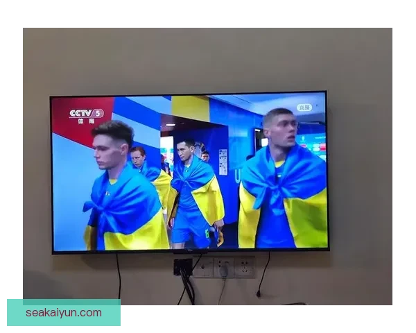 罗马尼亚球迷黄蓝热情助威，主场氛围持续升温